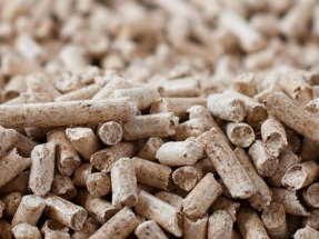 ENplus espera certificar más de 14,5 millones de toneladas de pellets en 2024