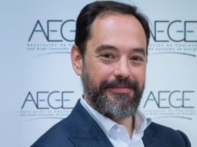 Pedro González, nuevo director general de la Asociación de Empresas con Gran Consumo de Energía