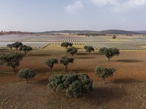 Sello de Excelencia UNEF para dos plantas solares operadas por ABEI Energy en Cáceres y Ciudad Real