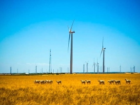 Iberdrola instalará 50,5 megavatios eólicos en Polonia