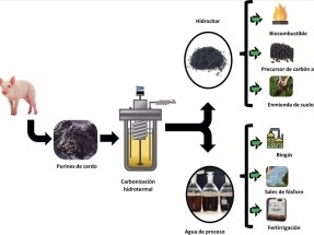  Nuevo método para transformar los purines de cerdo en biocombustible y fertilizantes 