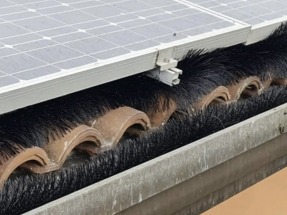 No más palomas en los paneles solares con estos cepillos de Italgam Srl