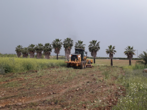 Enel Green Power inicia la construcción de su segunda planta solar en Sevilla