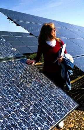 Los 3.000 MW de la subasta de ayer acabaron siendo 5.037