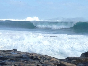 Carnegie Clean Energy Wins $16 Million Grant for Albany Wave Energy Project