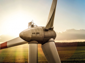 Windsourcing abre tienda online