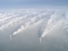 Offshore Wind Farm Control Strategies to Be Put to the Test