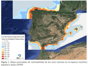 El 90% de las zonas previstas para el despliegue eólico marino presenta un riesgo elevado para las aves