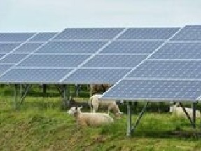 Danske Commodities expands renewables portfolio with new solar park in Poland