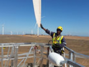 Emerging South African wind sector will need to invest in blade repair