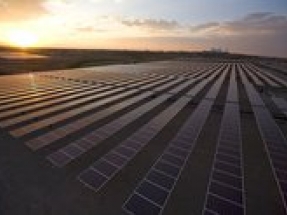 American solar industry rises up against Suniva Section 201 trade petition