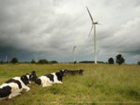 Vestas secures 40 MW order for three projects in Poland