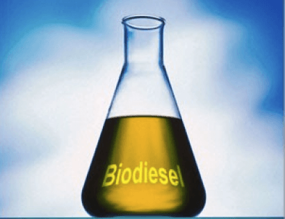 Acuerdos para que Indonesia produzca biodiésel en España