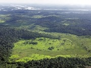 Convenio de Biodiversidad: no pero sí a los biocarburantes