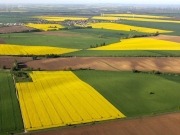 El Parlamento Europeo avanza en la reducción de los biocarburantes convencionales