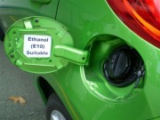 Apoyo firme de Bulgaria, Chequia, Eslovaquia y Polonia a los cultivos para biocarburantes y el E10