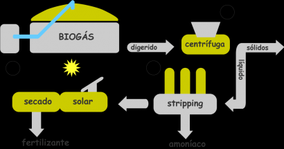 Fertilizantes ecológicos a partir de la luz solar - Revista