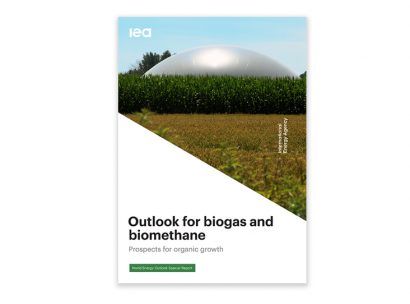 Agencia Internacional de la Energía: biogás y biometano podrían cubrir el 20% de la demanda mundial de gas
