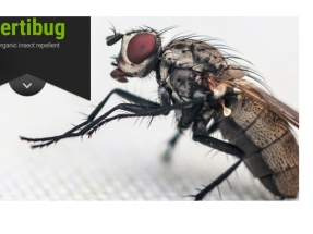 El biogás sirve para fabricar insecticidas naturales contra la mosca de la col