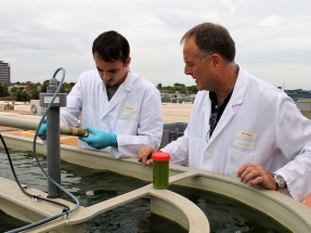 Biogás y biomasa para hacer más eficientes a las pymes alimentarias