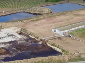 El biogás espera (desespera), mientras el purín contamina