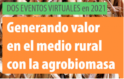 Agrobioheat acerca experiencias en el uso de agrobiomasa, desde España a la India