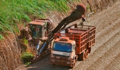 La generación con biomasa en Brasil supera la de una represa gigante