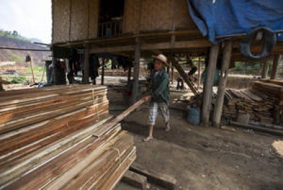 La producción mundial de pélets sigue animando el mercado de la madera