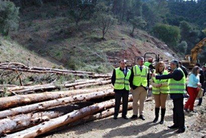 Bioenergía, prevención de incendios y conservación de biodiversidad en montes de Málaga