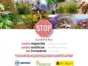 Dos empresas energéticas consiguen que una sentencia saque al tabaco moro del catálogo de especies invasoras