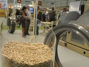 Todos los focos se dirigen hacia Expobioenergía