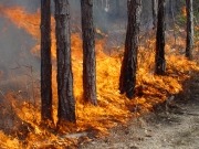 Los incendios se apagan en invierno con bioenergía