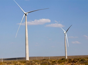 Vientos Neuquinos completará sus 100 MW de potencia en operaciones la semana próxima