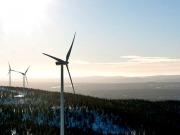 Vestas renueva contrato de mantenimiento a 268 MW en España