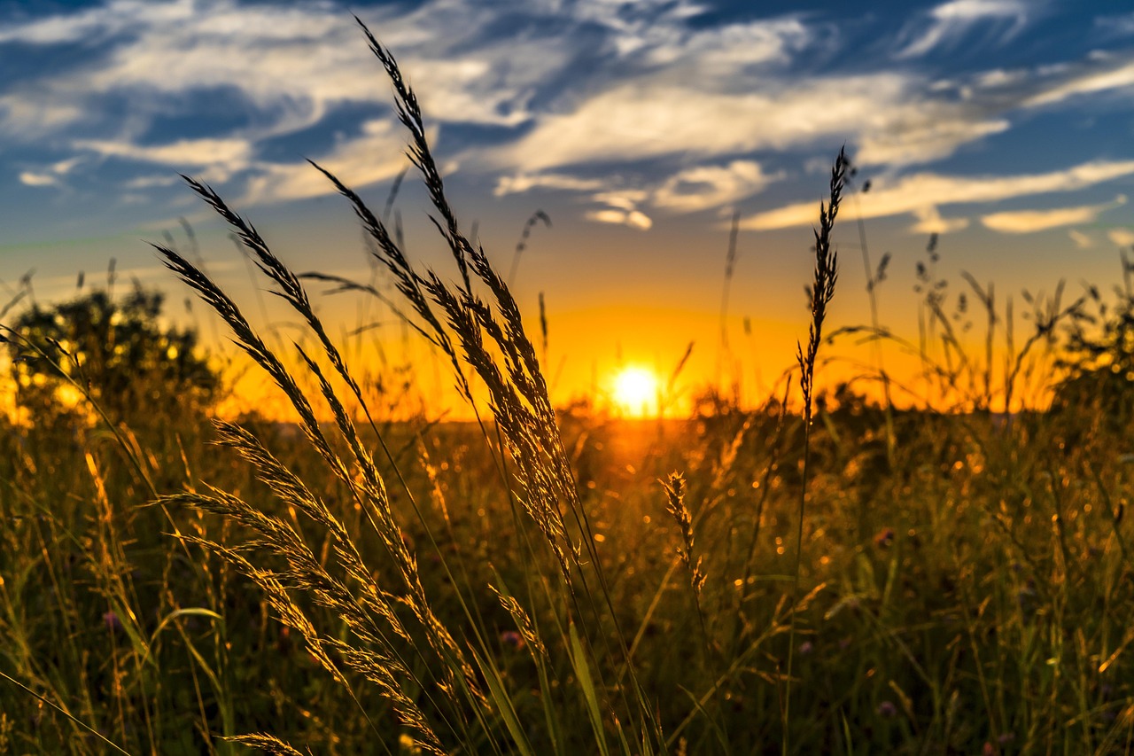 USDA  Announces $537 Million for Biofuel Infrastructure Projects