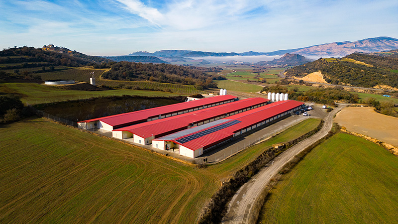 IBC Solar y Adeinnova. Granja Huget (Lerida) 2