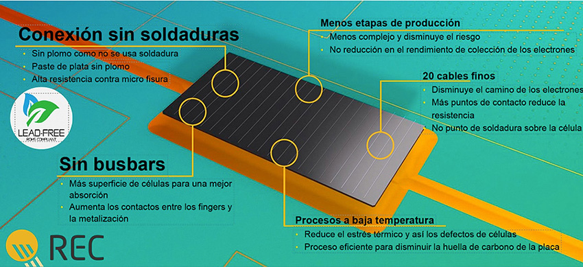 REC-Alpha-Pure-R-2