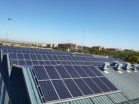 300 kW de autoconsumo en una granja de gallinas ponedoras