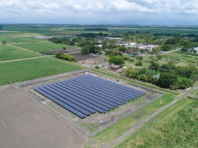 El Centro Internacional de Agricultura Tropical inaugura una planta fotovoltaica de casi 1 MW