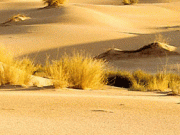 La energía solar se acerca al desierto de Kalahari