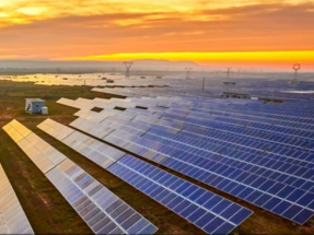 Irena confirma que el crecimiento de las renovables en el mundo es imparable