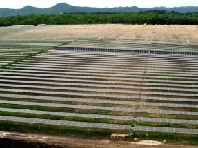 Módulos de Trina Solar para el parque fotovoltaico Girasol, de 120 MW