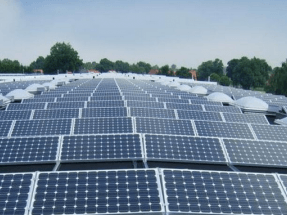 Luz verde a la mega planta solar de Elche 