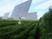 La energía solar abarata el riego hasta un 70%