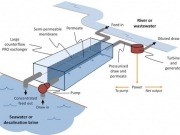 Río y mar, ¿una nueva fuente de energía renovable?