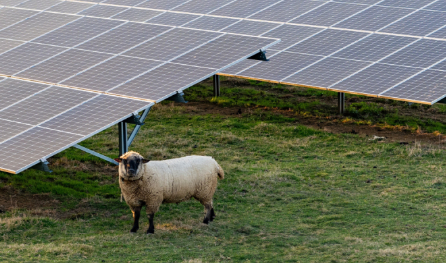 Meridian and Nova to Partner for Te Rahui Solar Farm