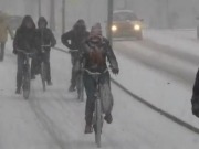 Casi el 25% de los holandeses va a trabajar en bicicleta