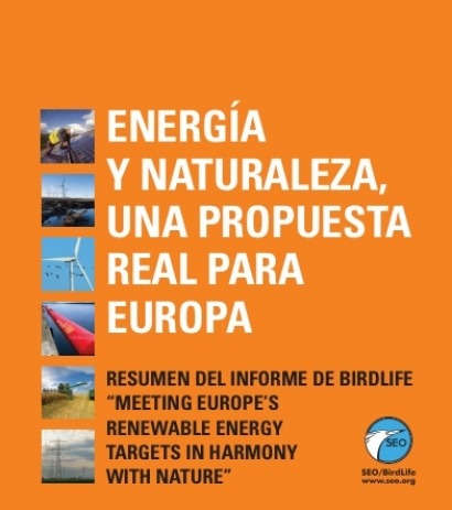 SEO/BirdLife lanza un documento para fomentar las energías renovables en la UE