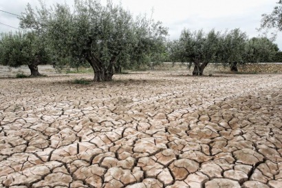 España debe triplicar esfuerzos para reducir un 26% sus emisiones de CO2, como le pide Bruselas