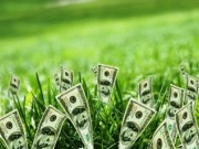 Un banco público emite bonos verdes por casi 70 millones de dólares